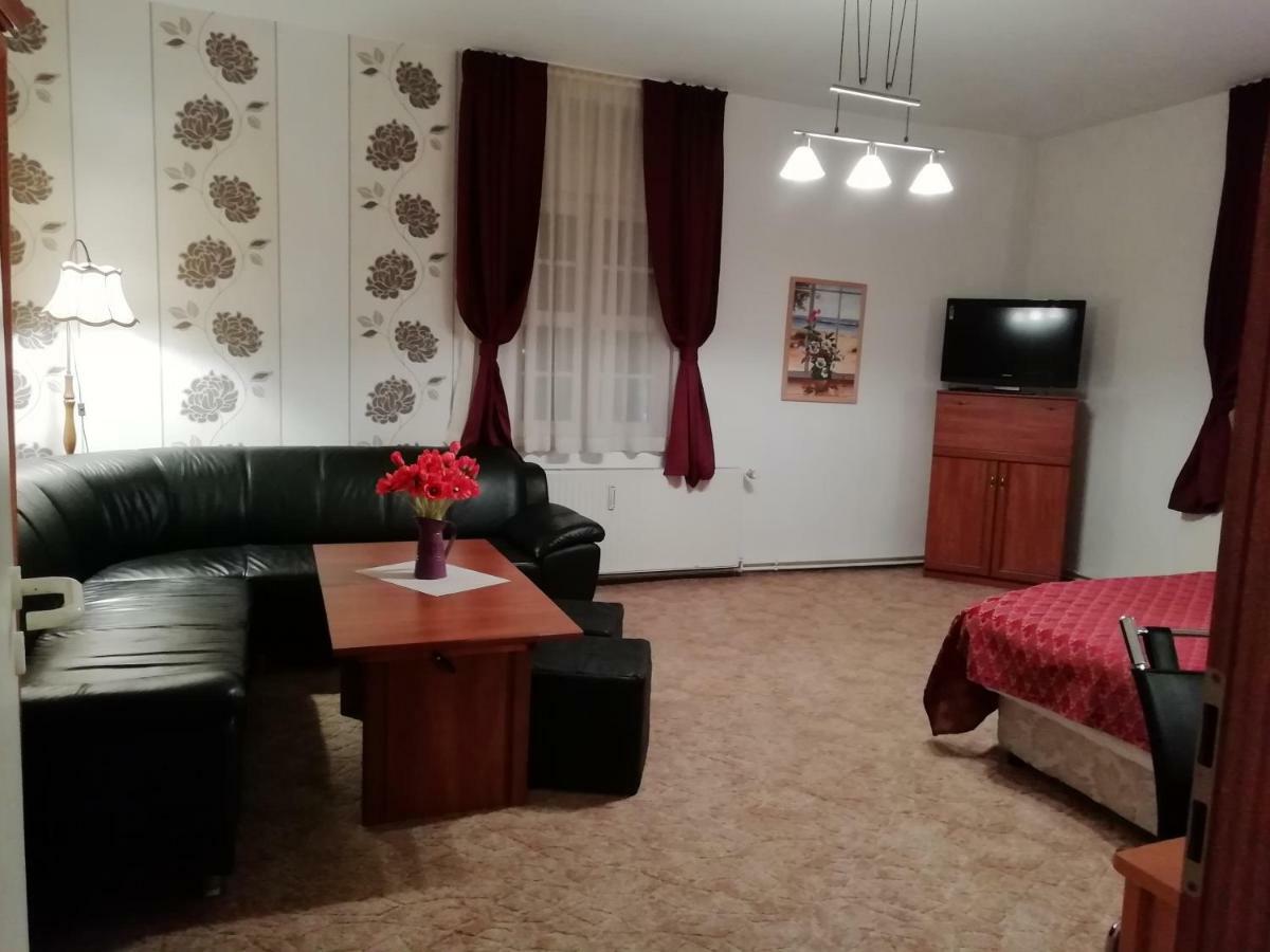 Grosse Wohnung Mit Terrasse Im Altstadtzentrum - Ferienwohnung Chiplakoff Blankenburg  Extérieur photo